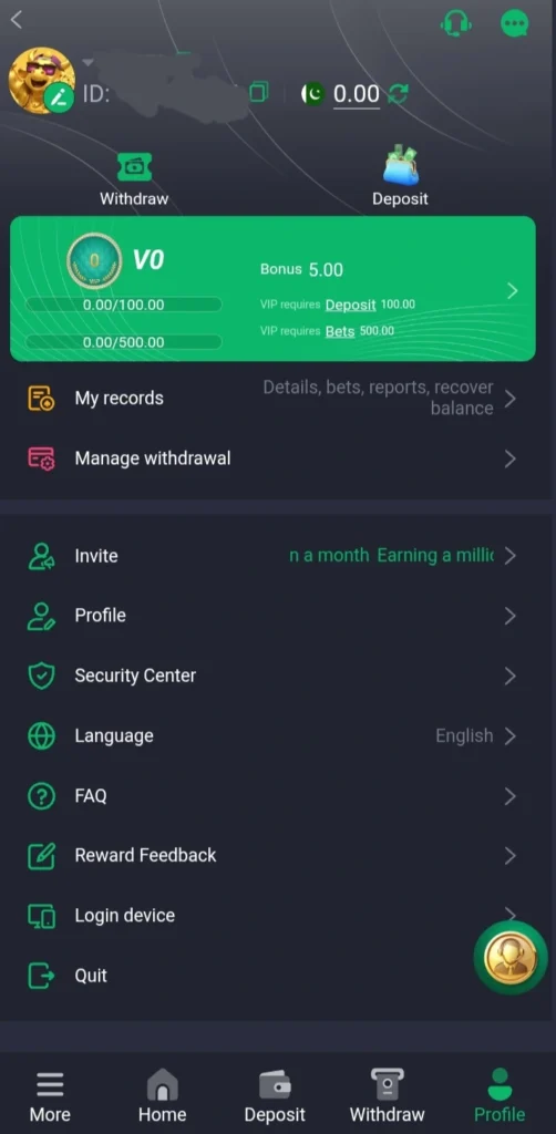 33pak profile